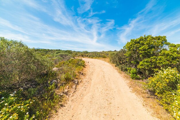 Schotterweg in Sardinien Italien