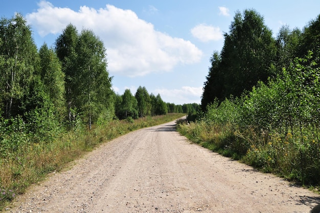 Schotterweg zum Wald. Panorama einer Landstraße. Sommertag im Wald.