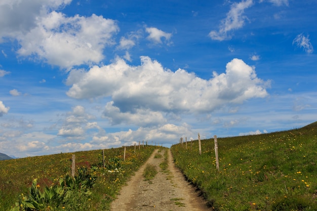 Schotterweg zwischen grünen Feldern mit weißen Wolken