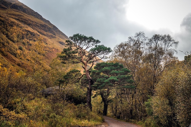 Schottland Herbst