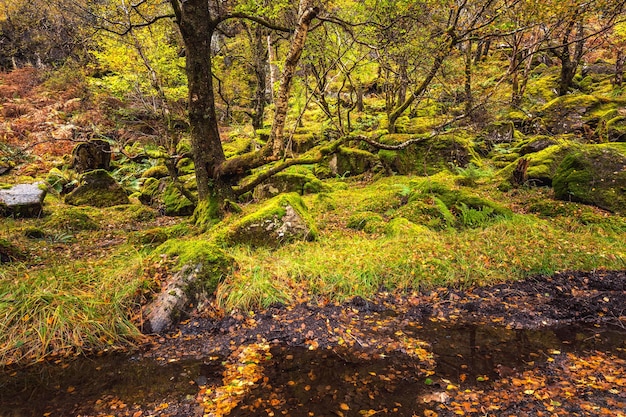 Schottland Herbst