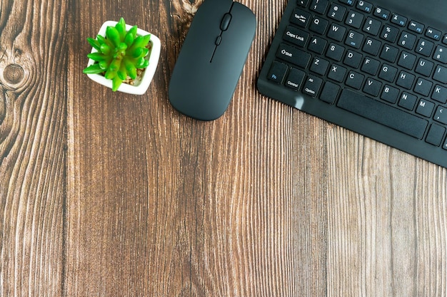 Schreibtisch mit Computertastatur, Maus und Topfpflanze