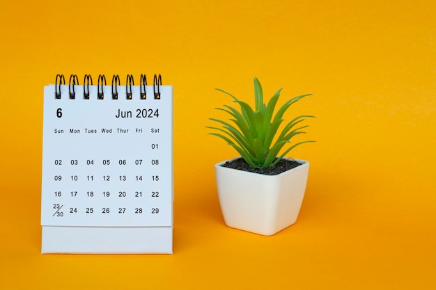 Foto schreibtischkalender für juni 2024 mit topfpflanze auf gelbem hintergrund