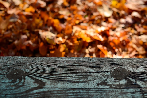 Schreibtischoberfläche aus Holztisch auf einem verschwommenen Herbsthintergrund aus gefallenen gelborangen Ahornblättern Herbst
