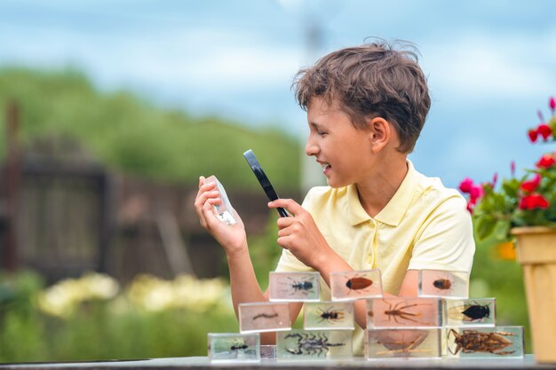 Schüler, der käfer durch eine lupe studiert