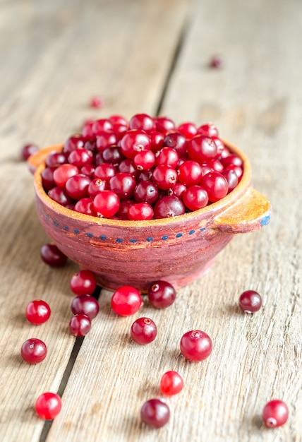 Schüssel mit frischen Preiselbeeren