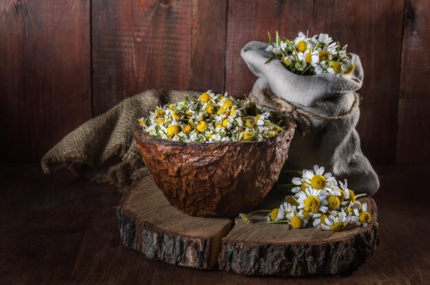 Schüssel mit gepflückten Gänseblümchen und ein Strauß Gänseblümchen