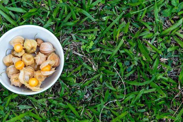 Schüssel mit Physalis. Gras-Hintergrund.