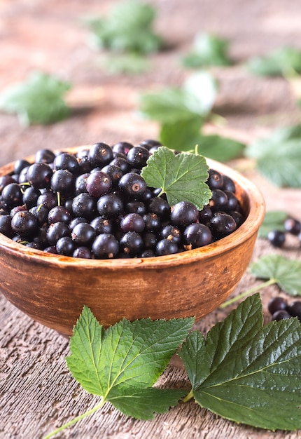 Schüssel schwarze Johannisbeere auf dem Holzbrett