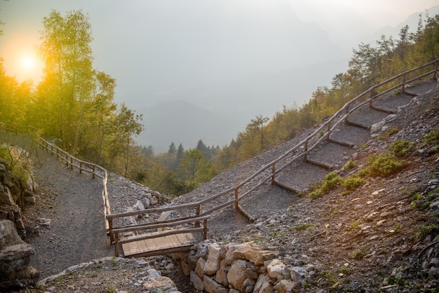 Foto schützende palisade