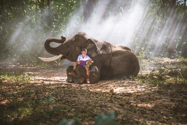 Schuljunge spielt im Dschungel mit seinem Freund Elefanten