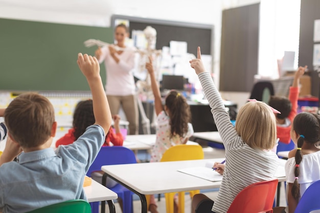 Schulkinder heben die Hände, während der Lehrer im Klassenzimmer die Funktionsweise des menschlichen Skeletts erklärt