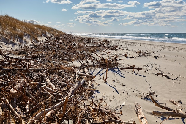 Schutz der Sanddünen vor Erosion. Zerstörung der Sturmdünen