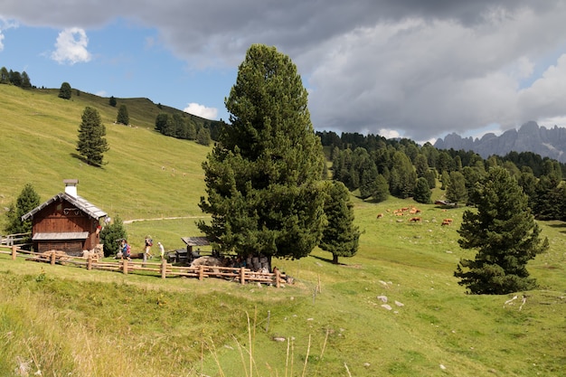 Schutzhütte im Naturpark Paneveggio Pale di San Martino in Tonadico, Trentino, Italien