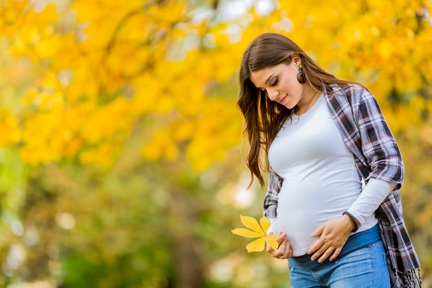 Schwangere Frau der Junge im Herbstpark