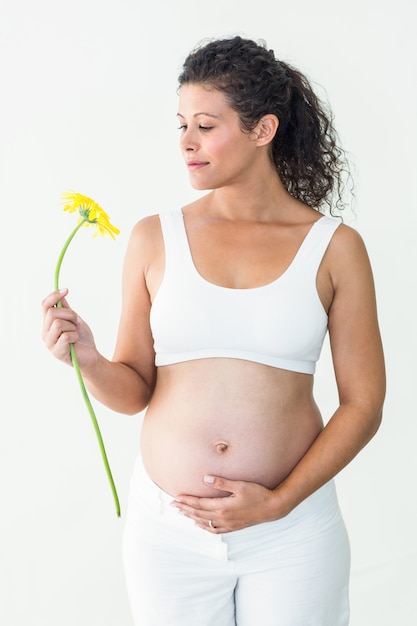 Schwangere Frau, die Blume beim Berühren ihres Bauches betrachtet