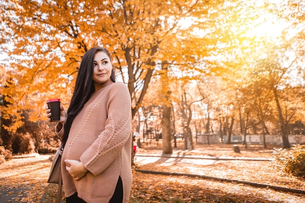 Schwangere Frau, die im herbstlichen Stadtparkwald steht und ihren runden Bauch mit einem kleinen Kind im Inneren streichelt