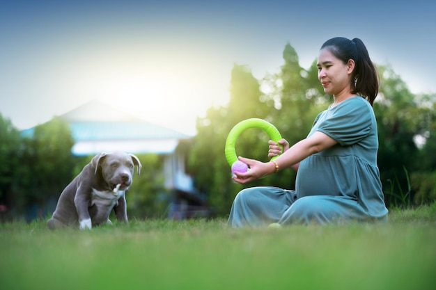 Schwangere Frau, die zu Hause mit Hund sitzt, amerikanischer Bully Dog Welpe lustig und süß, Hundemutter glückliche Familie