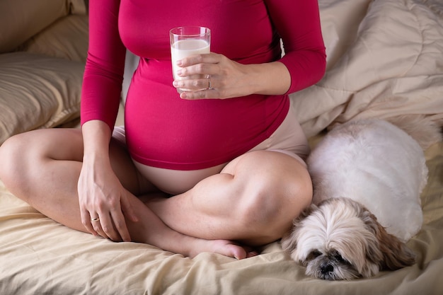 Schwangere Frau entspannt sich im Bett und hält ein Glas Milch in der Hand mit einem kleinen Hund