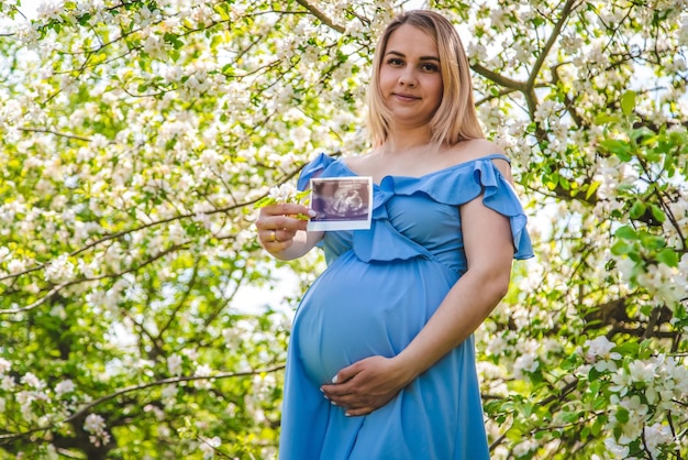 Schwangere Frau im Garten mit blühenden Apfelbäumen Ultraschall Selektiver Fokus
