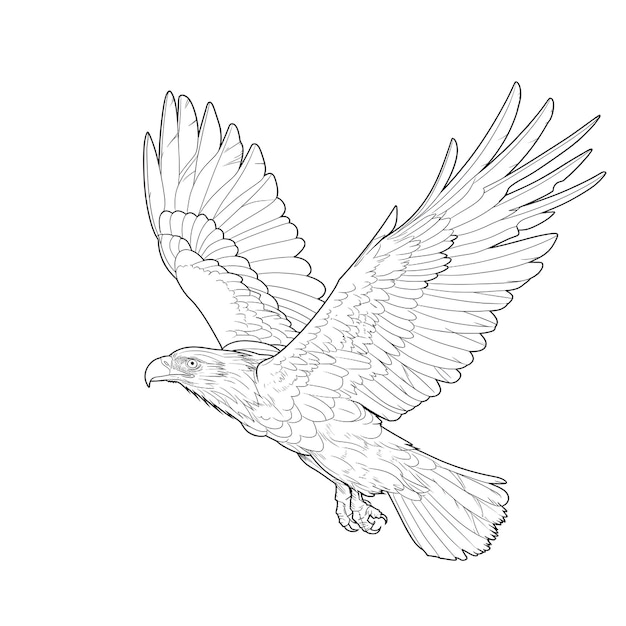 Schwarz-Weiß fliegender Adler