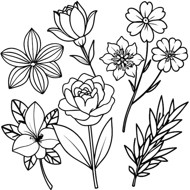 schwarz-weiße Zeichnung Blumen weißer Hintergrund Färbung Bild