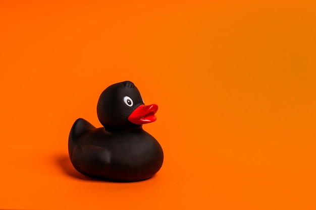 Schwarze Ente des Gummis auf einem orangefarbenen Hintergrund