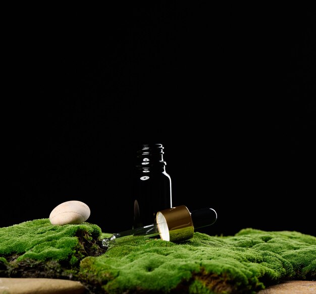 Schwarze Glasflasche mit Pipette steht auf grünem Moos, schwarzer Hintergrund. Kosmetik SPA-Branding. Verpackungen für Gel, Serum, Werbung und Produktwerbung, Mock-up