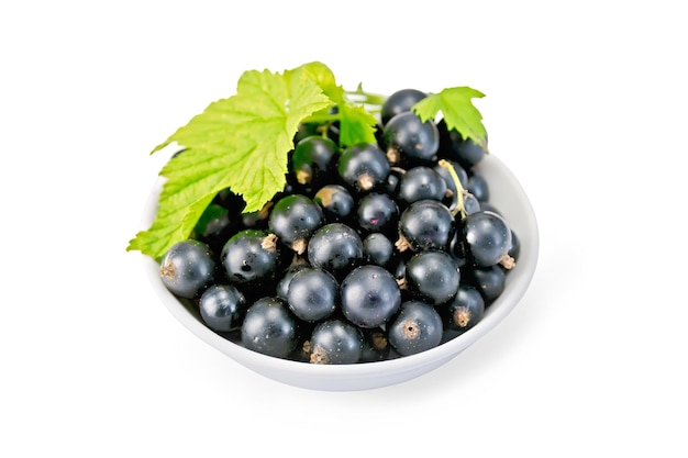 Schwarze Johannisbeeren in Schüssel mit Blatt