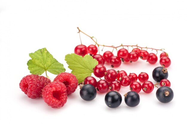 Schwarze johannisbeeren mit himbeeren