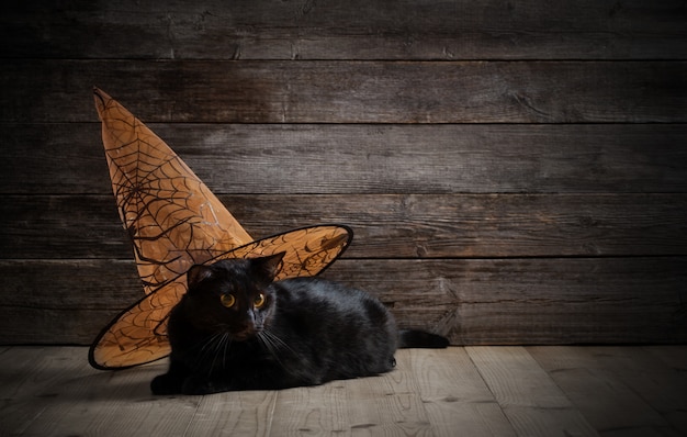 Schwarze Katze im Hexenhut auf Holz