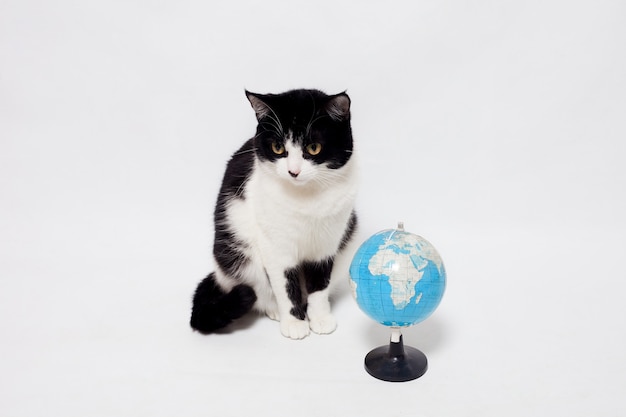 Schwarze Katze mit Globus