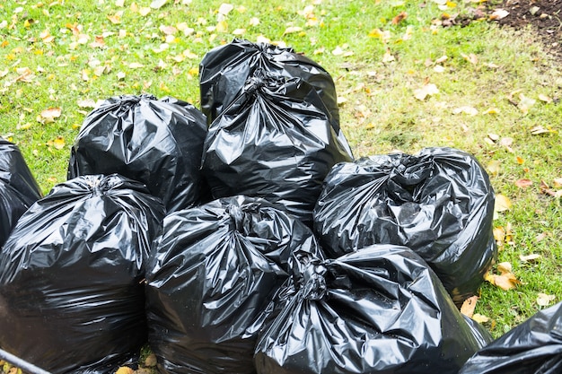 Schwarze Müllsäcke im Park im Frühherbst.