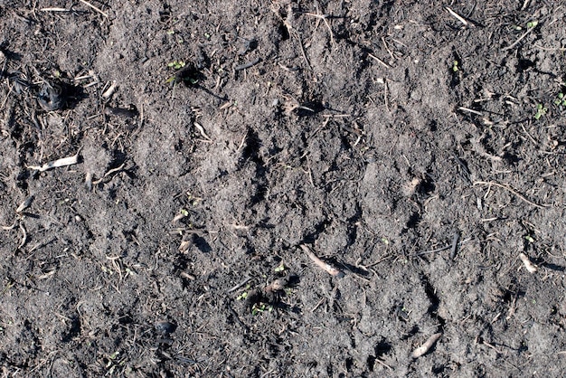 Schwarze Oberfläche des ländlichen Feldes mit verbranntem Gras Auswirkungen von Grasbränden auf Böden