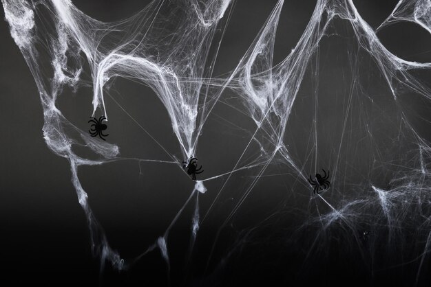 Foto schwarze plastikspinnen hängen an einem weißen spinnennetz auf einem schwarz-grauen hintergrund