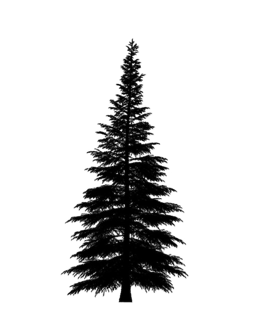 Schwarze Silhouette der Kiefern-Weihnachtsbaum-Ikone isoliert auf weißem Hintergrund