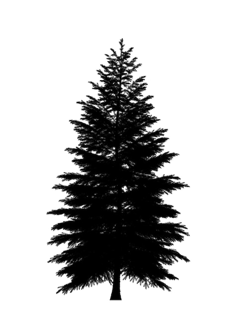 Schwarze Silhouette der Kiefern-Weihnachtsbaum-Ikone isoliert auf weißem Hintergrund