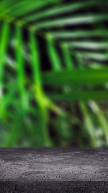 Schwarze Steinoberfläche auf dem Hintergrund der grünen Blätter von Palmen