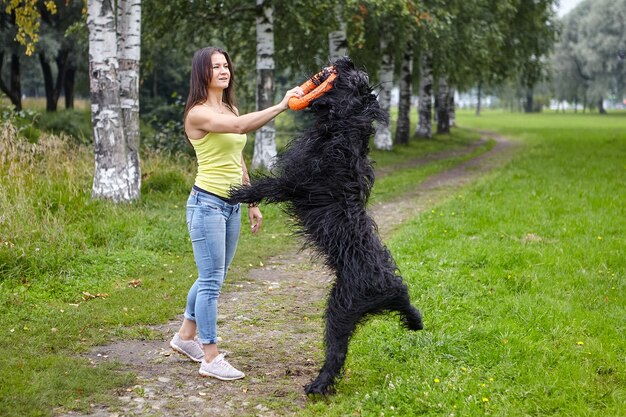Schwarzer Briard Hund springt für Spielzeug, in der Hand des Besitzers gehalten.
