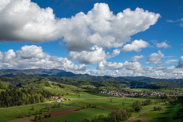 Foto schwarzer wald