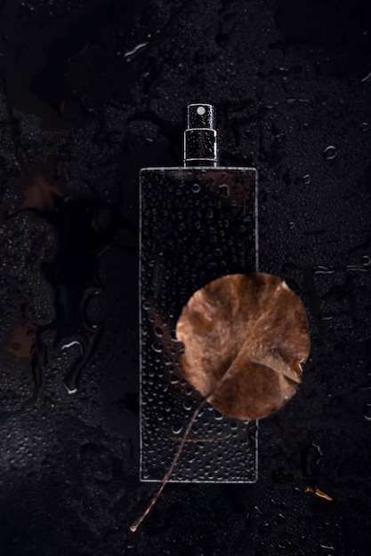 Foto schwarzes nasses parfüm auf dunklem hintergrund