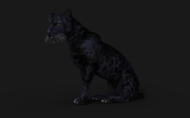 Schwarzes Panther-Isolat der Illustrations-3d auf Schwarzem