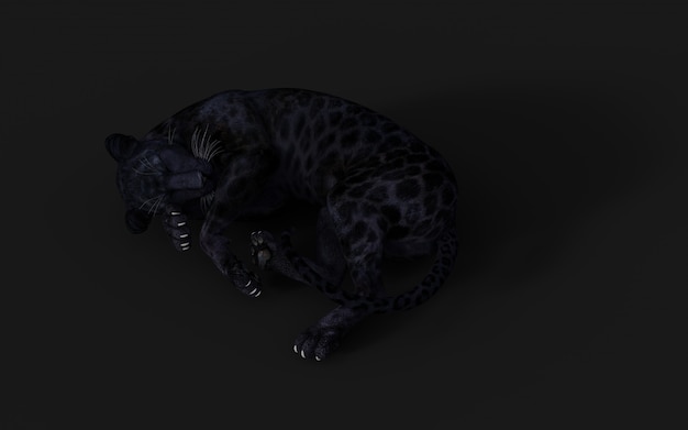 Schwarzes Panther-Isolat der Illustrations-3d auf Schwarzem