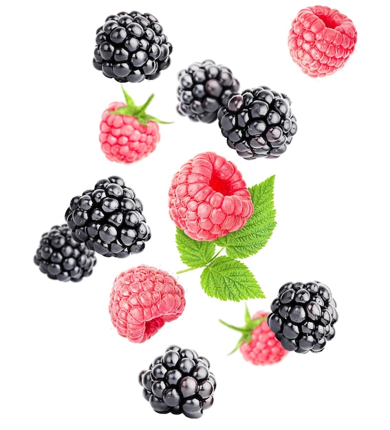 Schwebende Himbeeren und Brombeeren auf einem weißen, isolierten Hintergrund