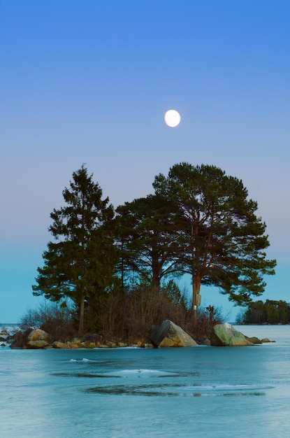 Schwedische Winterlandschaft an der Seeküste mit Kiefern und Mond