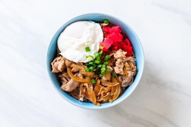 Schweinefleischreisschüssel mit Ei (Donburi) - japanisches Essen