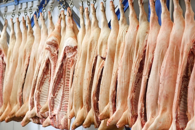 Schweineschlachtkörper beinahe eingeschnitten im Kühlraum der Lebensmittelverarbeitungsanlage gelagert.