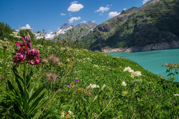 Schweizer Alpenlandschaft