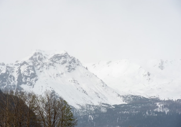 Schweizer Berge