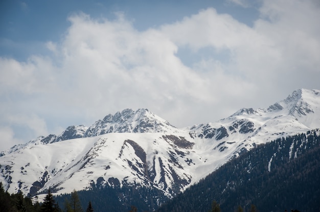 Schweizer Berge